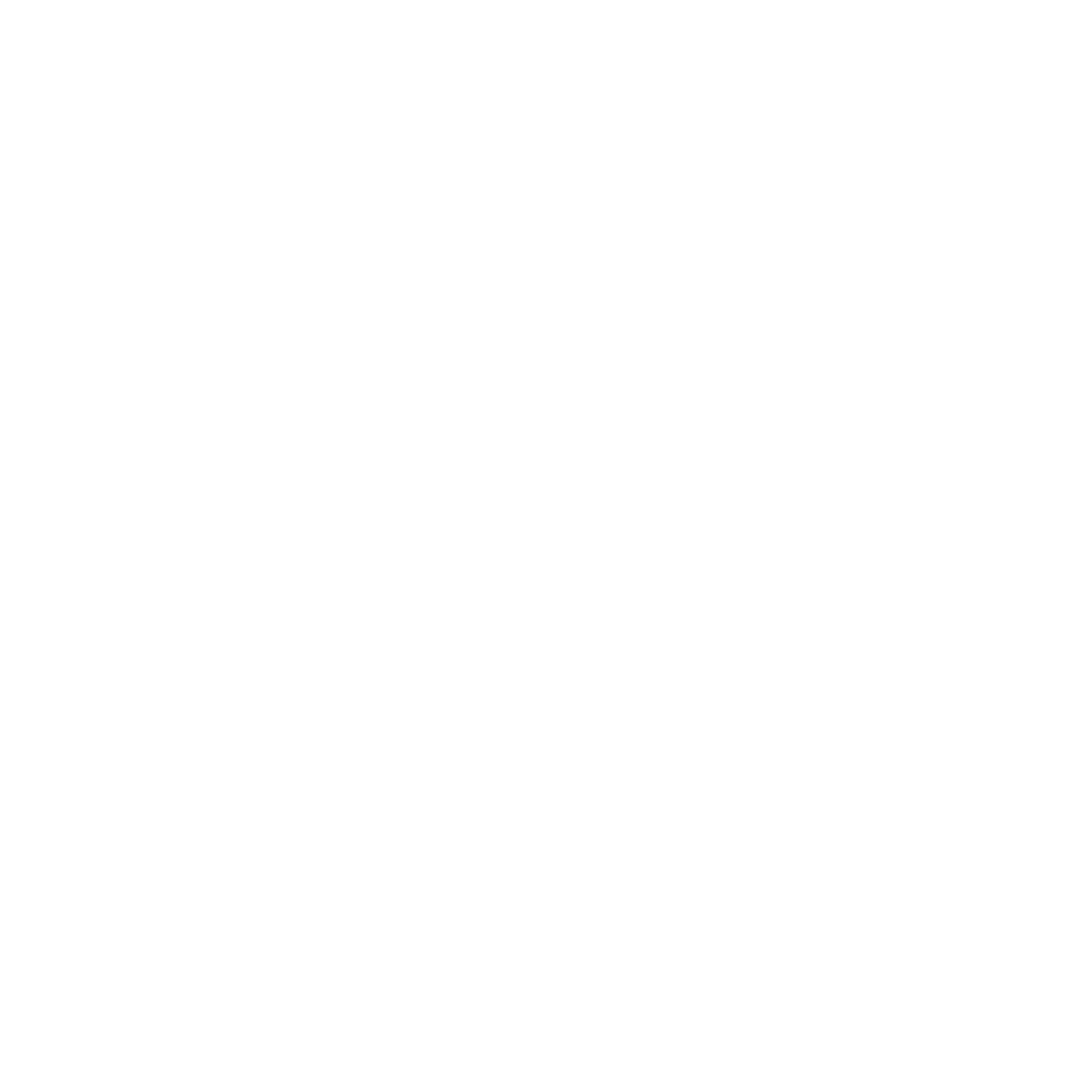 ConectLens